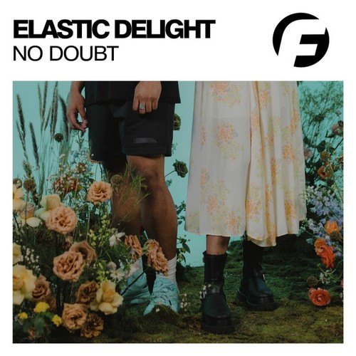 Elastic Delight-No Doubt