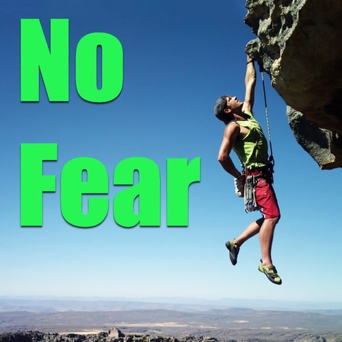 Various Artists-No Fear