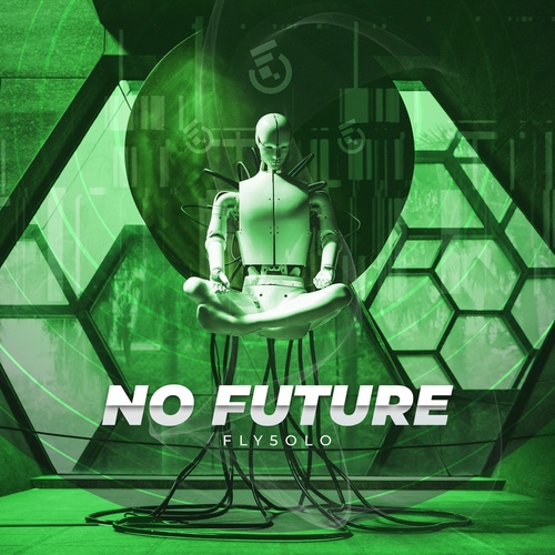 FLY5OLO-No Future