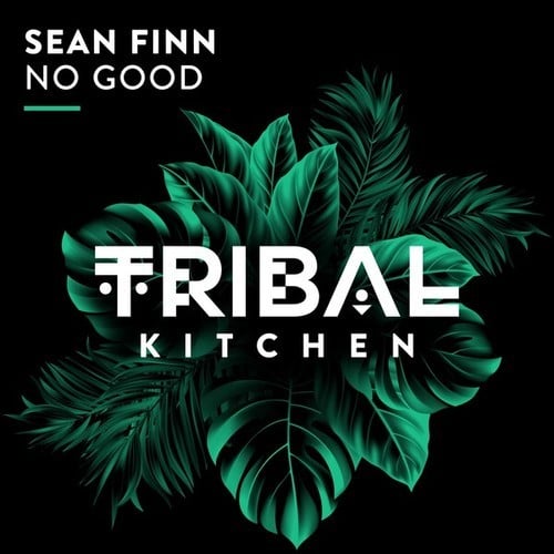 Sean Finn-No Good