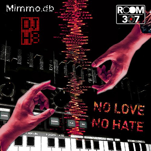 DJ H8, Mimmo .db-No Love No Hate
