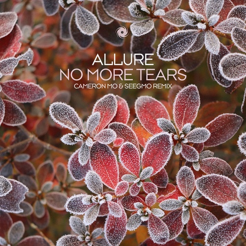 Allure, Cameron Mo, Seegmo-No More Tears