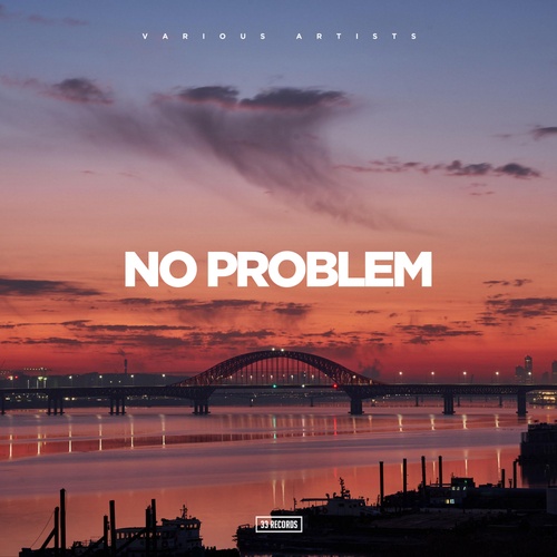 Various Artists-No Problem