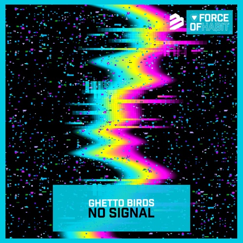 No Signal