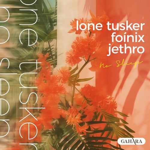 Lone Tusker, Foínix, Jethro-No Sleep