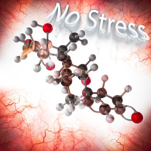 Third Sky-No Stress