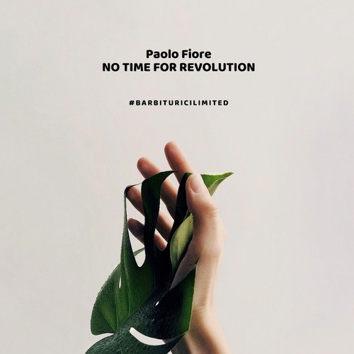 Paolo Fiore-No Time for Revolution