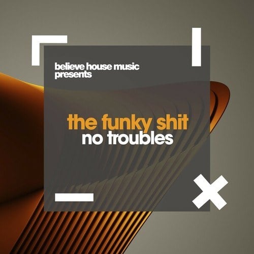 The Funky Shit-No Troubles