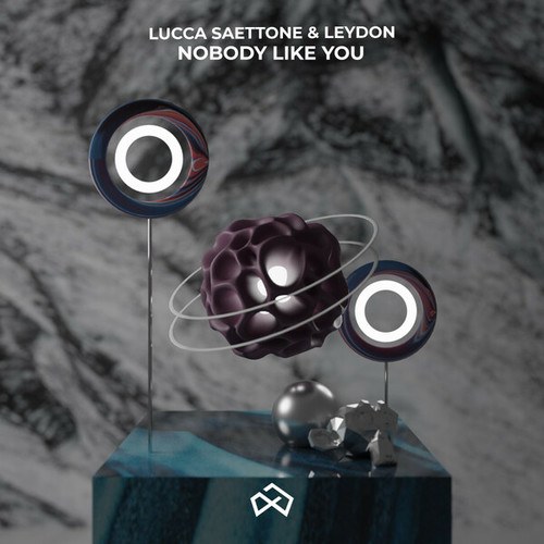 Lucca Saettone, LEYDON-Nobody Like You