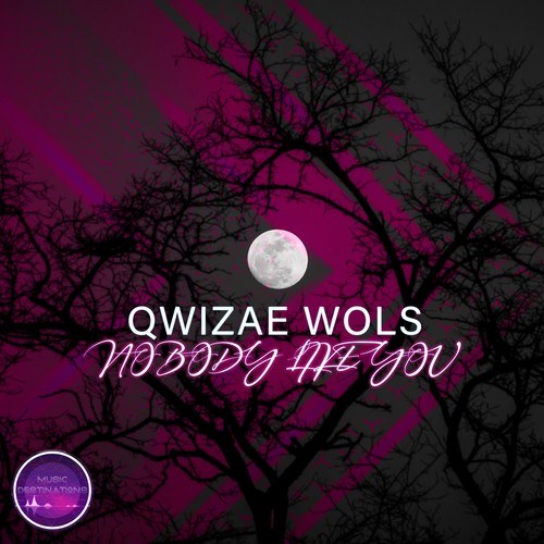 Qwizar Wols-Nobody Like You