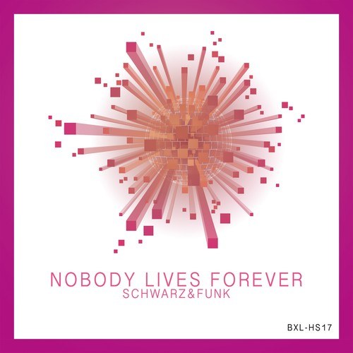 Schwarz & Funk-Nobody Lives Forever