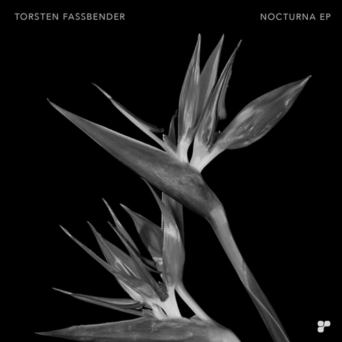 Torsten Fassbender, Tommaso De Donatis-Nocturna