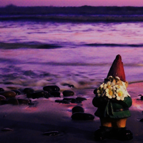 Aisle Of Gnomes-nocturne beach