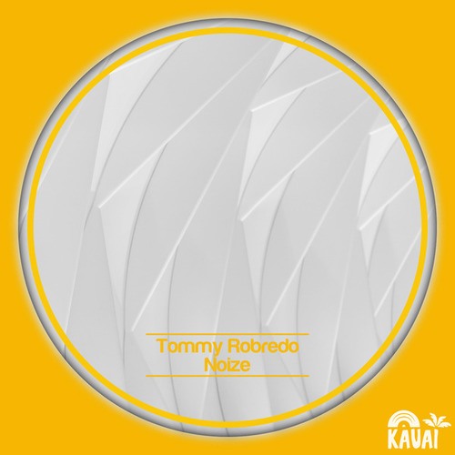 Tommy Robredo-Noize