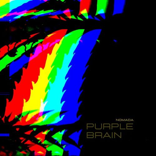 Purple Brain-Nomada