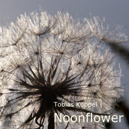 Tobias Köppel-Noonflower