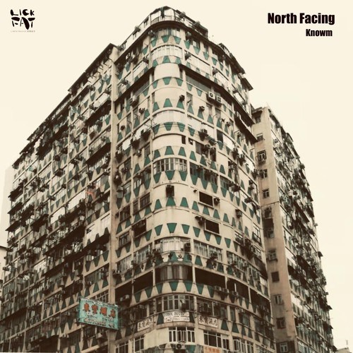 Knowm-North Facing