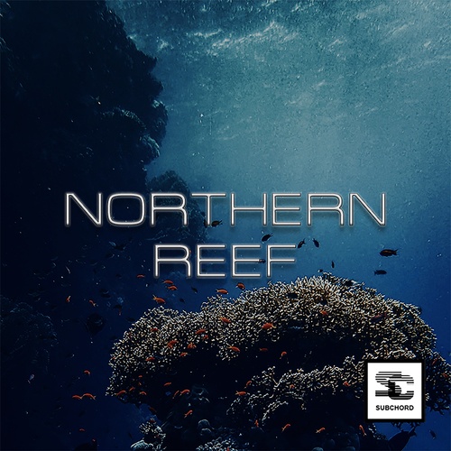 Subchord, Roman Ridder, Fingers In The Noise-Northern Reef