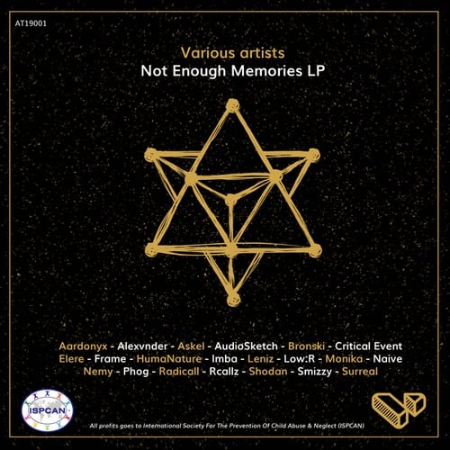 Various Artists-Not Enough Memories LP