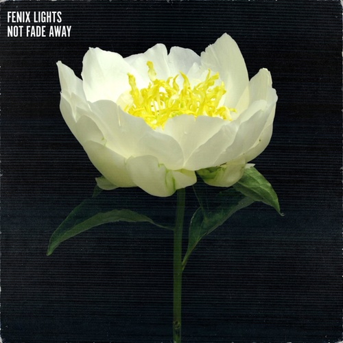 Fenix Lights-Not Fade Away