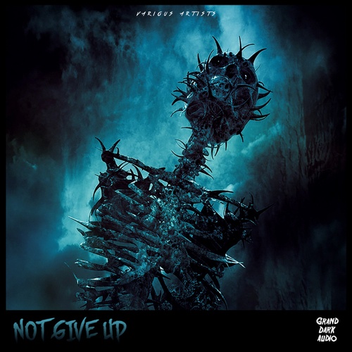 Various Artists-Not Give Up