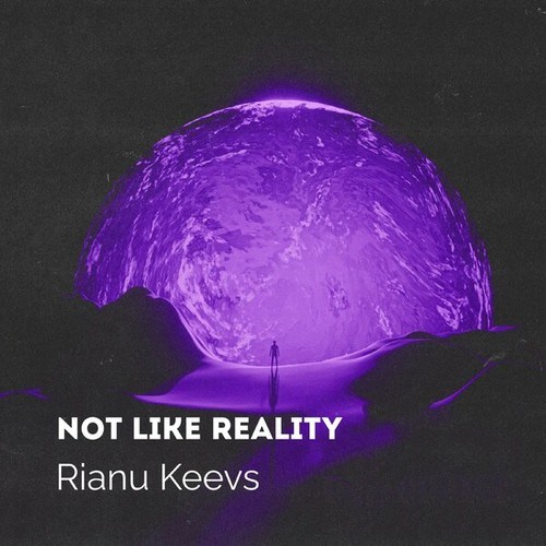 Rianu Keevs-Not Like Reality