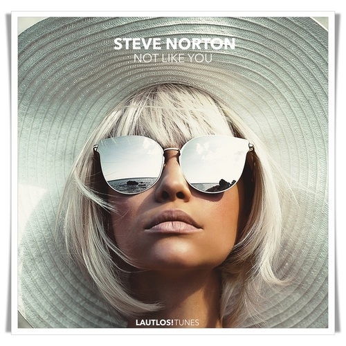 Steve Norton-Not Like You (Radio-Edit)