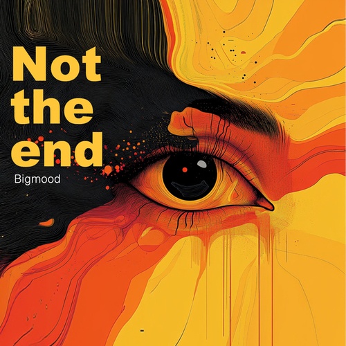 Bigmood-Not the end