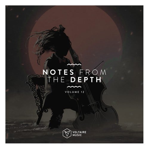 Notes from the Depth, Vol. 12