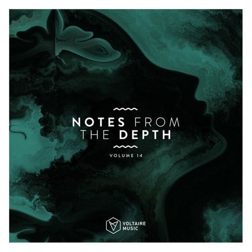 Notes from the Depth, Vol. 14