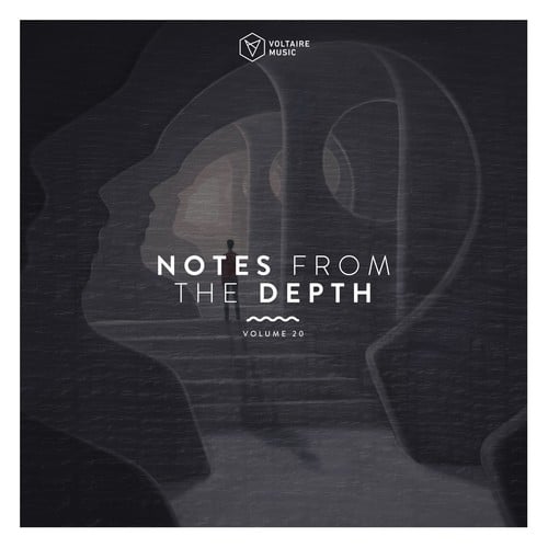 Notes from the Depth, Vol. 20