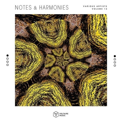 Various Artists-Notes & Harmonies, Vol. 13
