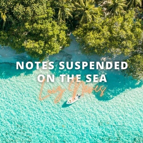 Notes Suspended on the Sea