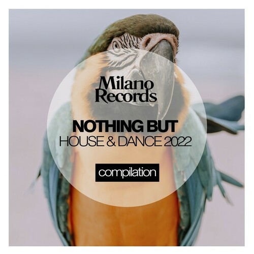 Various Artists-Nothing but House & Dance 2022