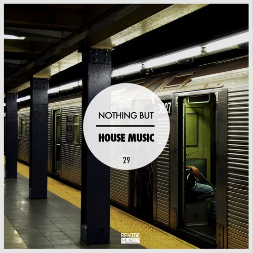 Nothing but House Music, Vol. 29