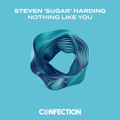 Steven Sugar Harding-Nothing Like You