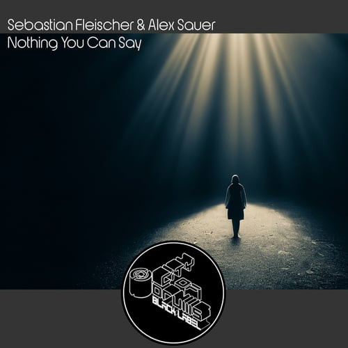 Sebastian Fleischer, Alex Sauer-Nothing You Can Say