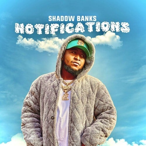 Shadow Banks-Notifications