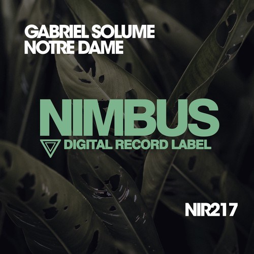 Gabriel Solume-Notre Dame