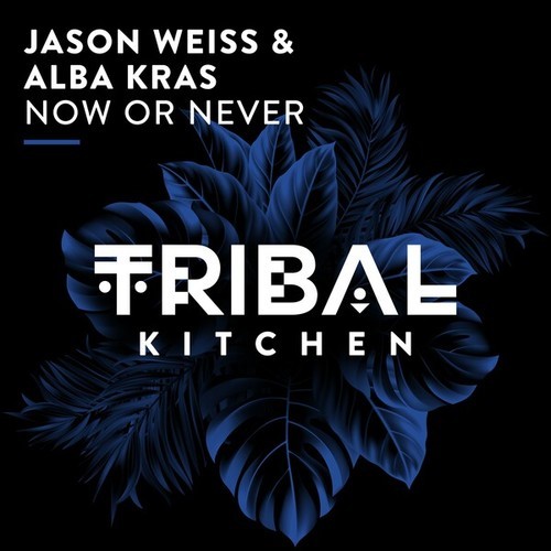Jason Weiss, Alba Kras-Now or Never (Extended Mix)