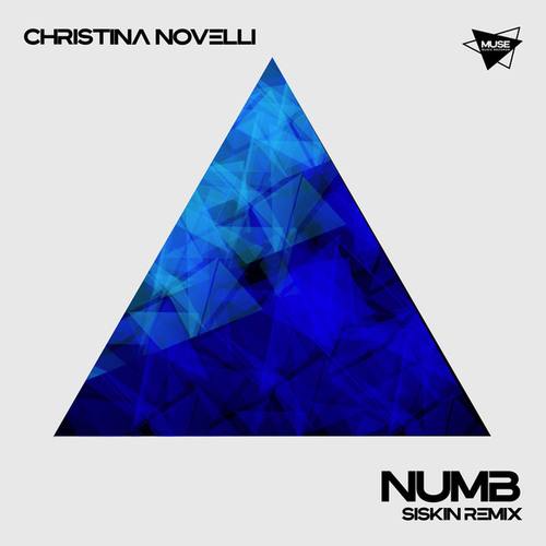 Christina Novelli, Siskin-Numb