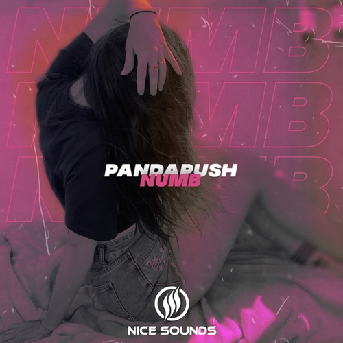 Pandapush-Numb