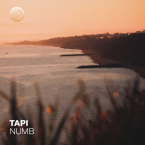 TAPI-Numb