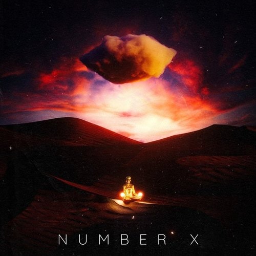 Number X