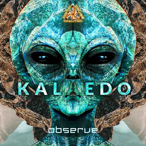 Kalaedo-Observe