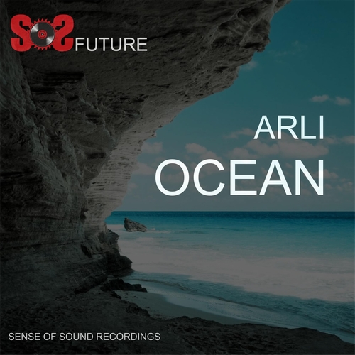 ARLI-Ocean