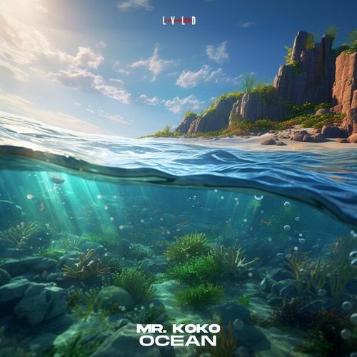 Mr. Koko-Ocean
