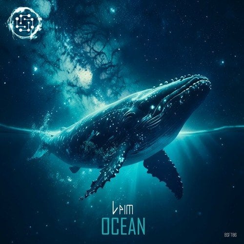 Vaim-Ocean