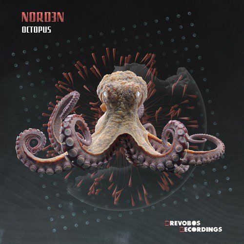 Nord3n-Octopus