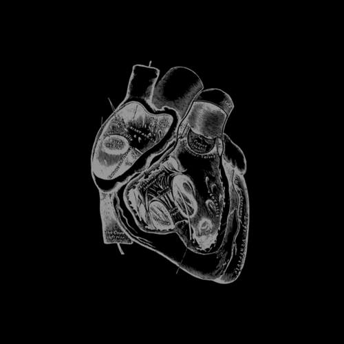 Borealis, Crimean, Van Hai, DaWad Remix-Of The Heart Increased
